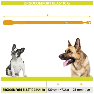 Ferplast Laisse pour chien avec extrémité élastique - 2 ERGOCOMFORT