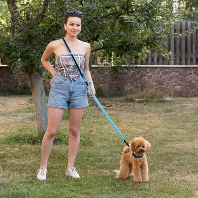 Ferplast Laisse de dressage pour chiens ERGOFLUO GA