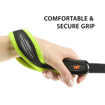 Ferplast Hundeleine aus Nylon mit gepolstertem Griff. ERGOFLUO G