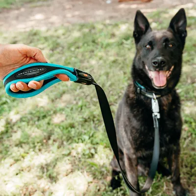 Ferplast Laisse pour chiens avec mousqueton automatique ERGOFLUO MATIC