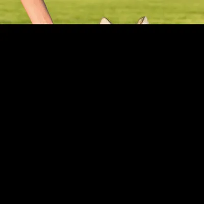 Ferplast Laisse extensible avec corde extensible pour FLIPPY ONE CORD