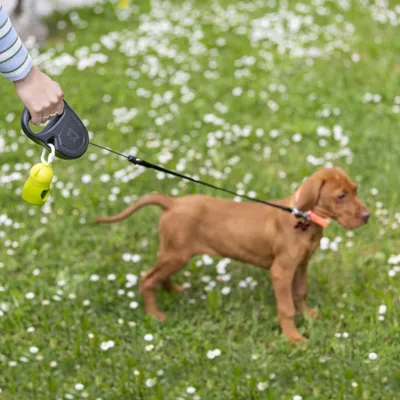 Ferplast Laisse extensible avec corde extensible pour FLIPPY ONE CORD