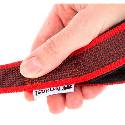 Ferplast Laisse pour chiens avec mousqueton automatique. DAYTONA GUMMY
