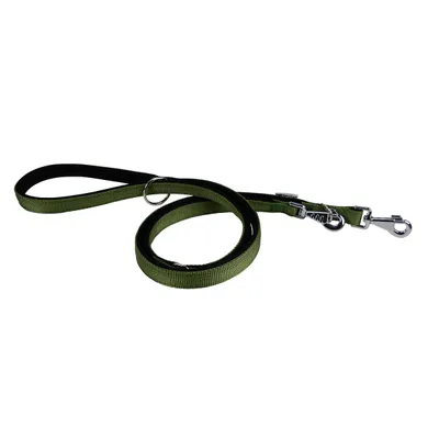 Ferplast Laisse en nylon pour le dressage des chiens. DAYTONA GA