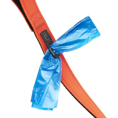 Ferplast Laisse en nylon pour chiens, 3 tailles et 4 DUAL G COLOURS