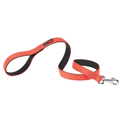 Ferplast Hundeleine aus Nylon, 3 Größen, 4 Farben. DUAL G COLOURS