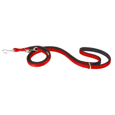 Ferplast Erweiterbare Leine für Hunde aus Nylon. DAYTONA GA