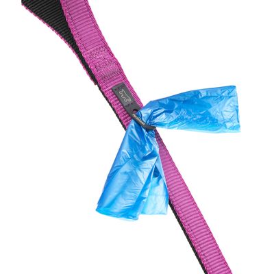 Ferplast Laisse en nylon pour chiens, 3 tailles et 4 DUAL G COLOURS