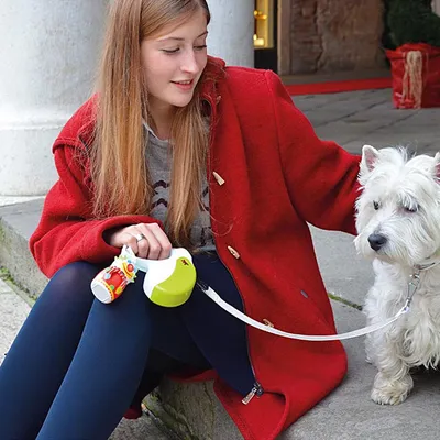 Ferplast Laisse rétractable avec bande extensible. 4 AMIGO TAPE