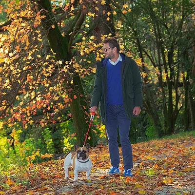 Ferplast Laisse rétractable avec cordon. 4 tailles et large AMIGO CORD