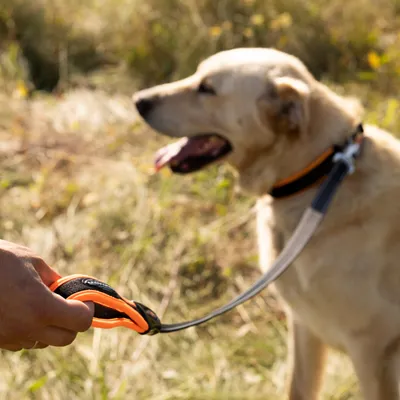 Ferplast Laisse pour chiens avec mousqueton automatique ERGOFLUO MATIC