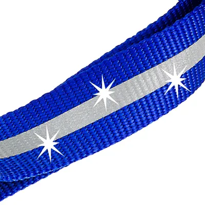 Ferplast Laisse réfléchissante pour chiens avec mousqueton CLUB REFLEX G