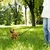Ferplast Laisse pour chiens avec mousqueton automatique. TWIST MATIC G