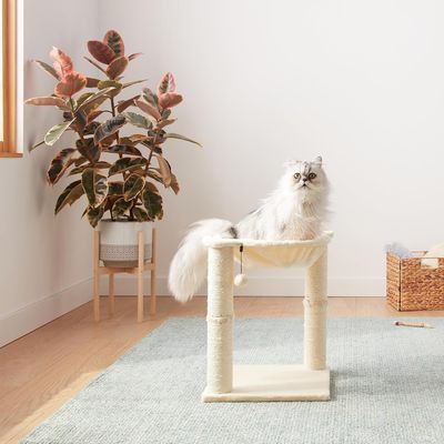 Arbre à chat en forme de tour avec abri, lit hamac et griffoir