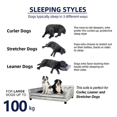BINGOPAW Canapé pour Chien Grande Taille Lit Surélevé BINGOPAW Canapé pour Chien Grande Taille Lit Surélevé