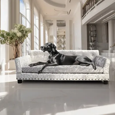 BINGOPAW Canapé pour Chien Grande Taille Lit Surélevé BINGOPAW Canapé pour Chien Grande Taille Lit Surélevé