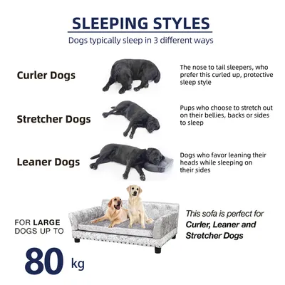 BINGOPAW Canapé pour Chien Grande Taille Lit Surélevé BINGOPAW Canapé pour Chien Grande Taille Lit Surélevé