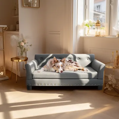 BINGOPAW Canapé pour Chien en Ciur Lit Surélevé