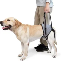 MCBOSON Ceinture de maintien des pattes arrière du chien