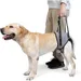MCBOSON Hinterbeinstützgürtel für Hunde