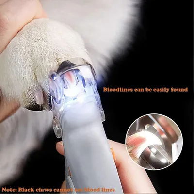 MCBOSON Coupe griffes pour chat  avec lumière LED