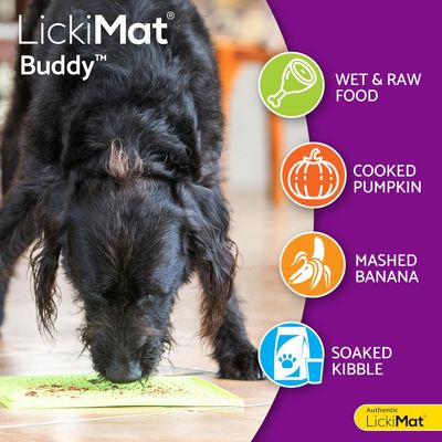 Lickimat Classic Buddy - Tapis de léchage souple pour chien