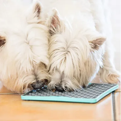 LickiMat  - Tapis de léchage Buddy Deluxe pour chats et chiens  Lickimat