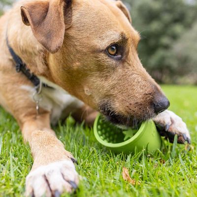 Lickimat Yoggie Pot - Jouet à remplir pour chiens
