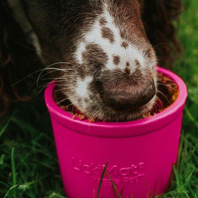 Lickimat Yoggie Pot - Jouet à remplir pour chiens