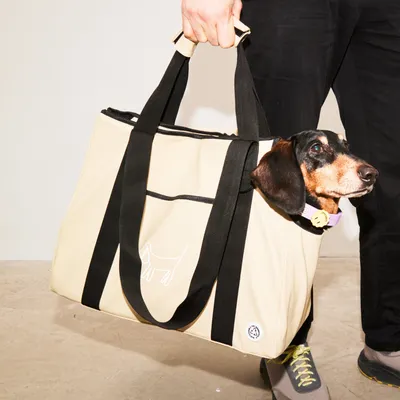 Barkalot Transporteur de sable recyclé