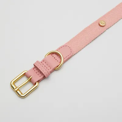 Barkalot Collier pour Chien Rose