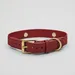 Barkalot Collier pour Chien Bordeaux