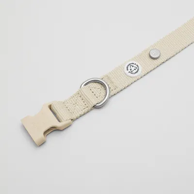 Barkalot Collier pour Chien Sable