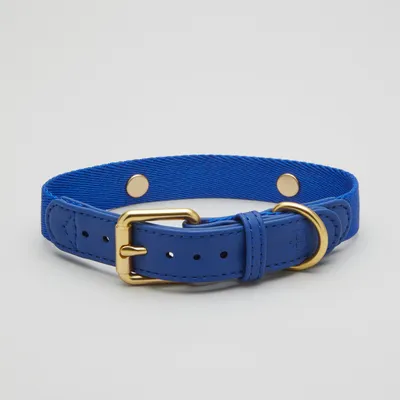 Barkalot Collier pour Chien Bleu Barkalot Collier pour Chien Bleu