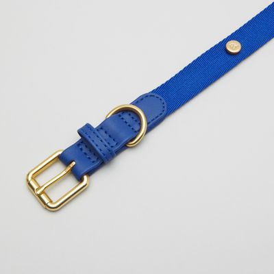 Barkalot Collier pour Chien Bleu
