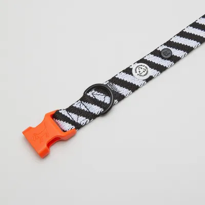 Barkalot Collier pour Chien Zèbre