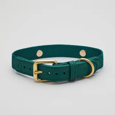 Barkalot Collier de Chien Vert Barkalot Collier de Chien Vert