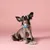 Barkalot Collier Multi Tie Dye pour Chien Barkalot Collier Multi Tie Dye pour Chien