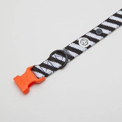 Barkalot Collier pour Chien Zèbre
