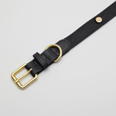 Barkalot Collier pour Chien Noir