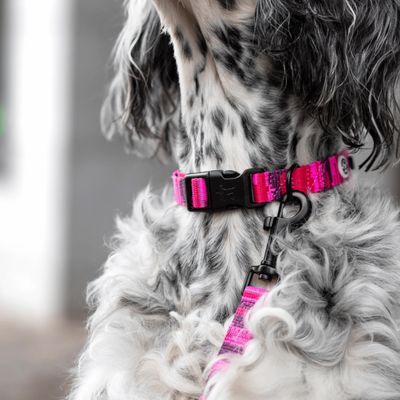 Barkalot Collier pour Chien Camouflage Rose