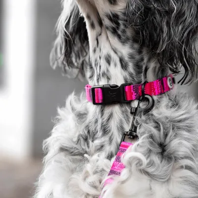 Barkalot Collier pour Chien Camouflage Rose