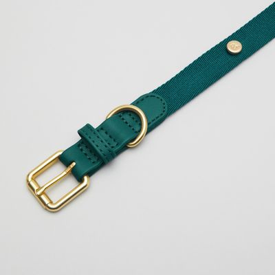Barkalot Collier de Chien Vert