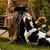Barkalot Collier pour Chien Vache Barkalot Collier pour Chien Vache