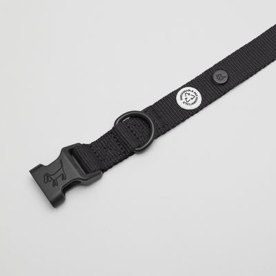 Barkalot Collier pour Chien Noir de Poix
