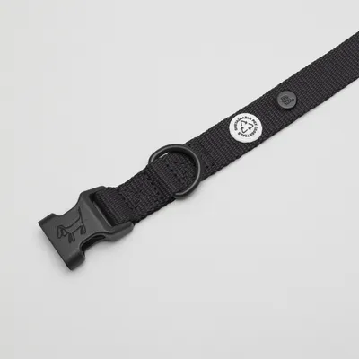 Barkalot Collier pour Chien Noir de Poix