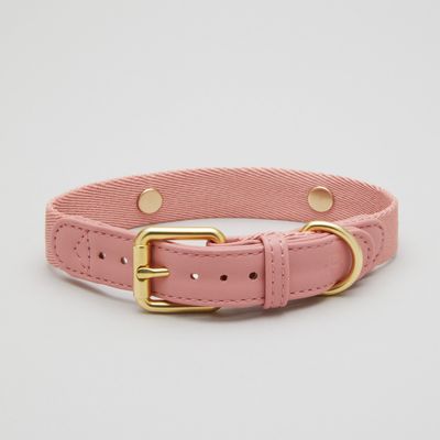 Barkalot Collier pour Chien Rose