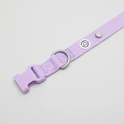 Barkalot Collier pour Chien Lilas