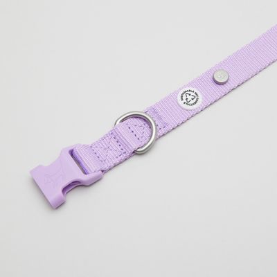 Barkalot Collier pour Chien Lilas