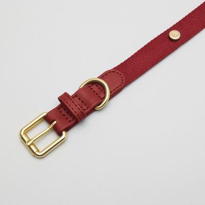 Barkalot Collier pour Chien Bordeaux